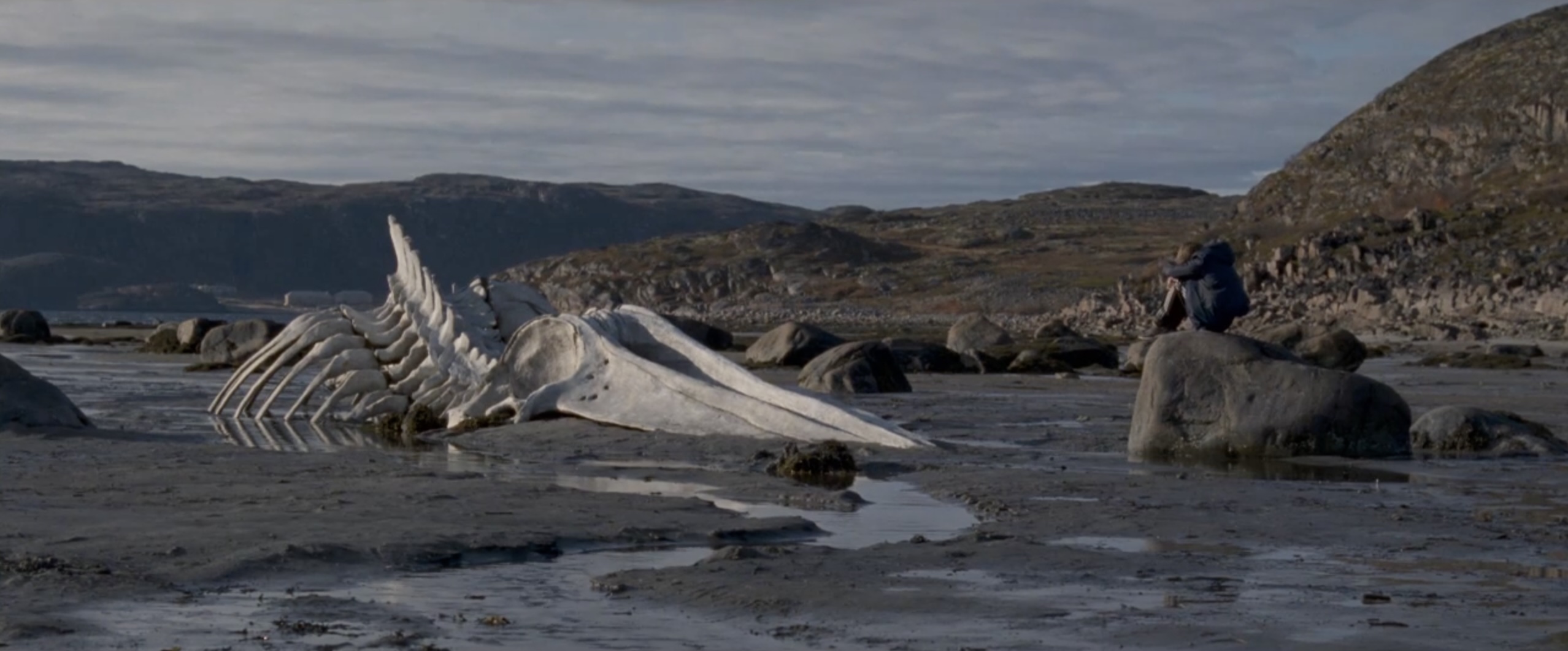 Leviathan